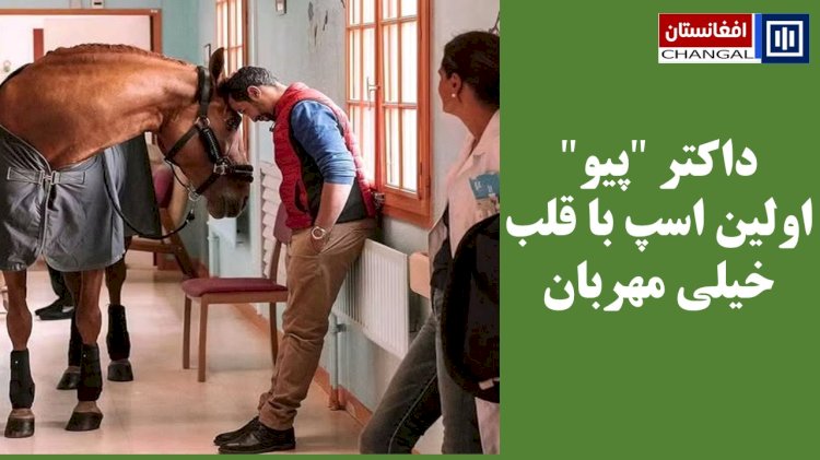 داکتر 