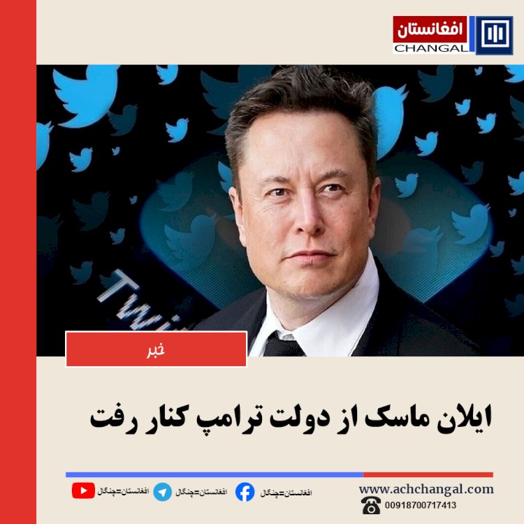 ایلان ماسک از دولت ترامپ کنار رفت